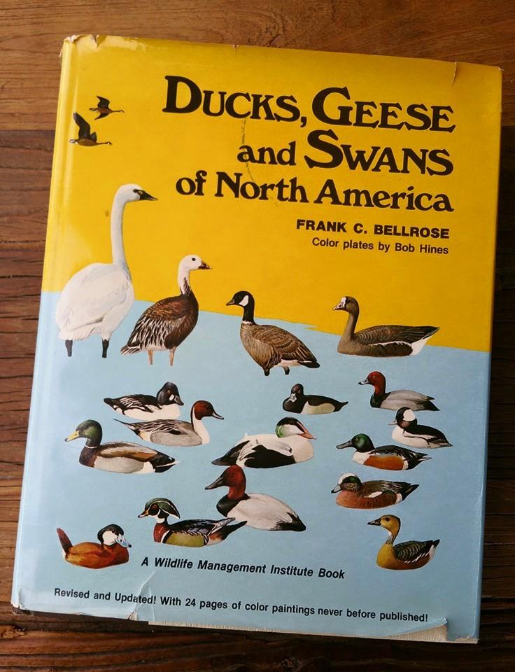 ducks_geese_swans_north_america_bellrose.jpg