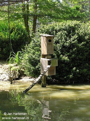Wood duck nest box