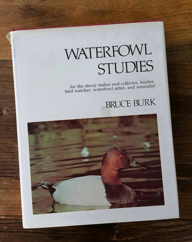 waterfowl_studies.jpg