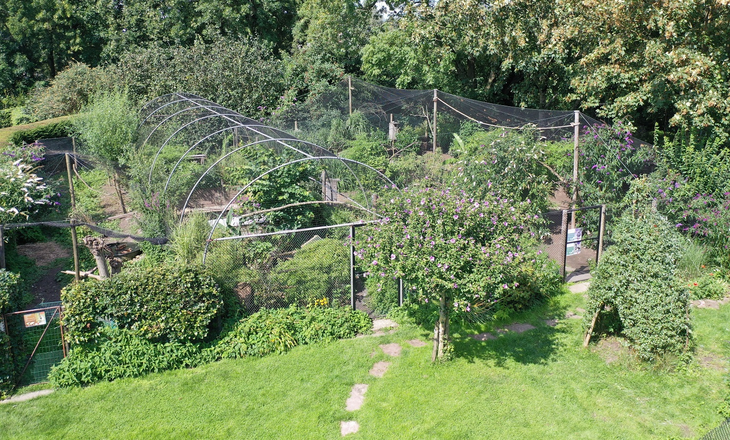 Our aviaries